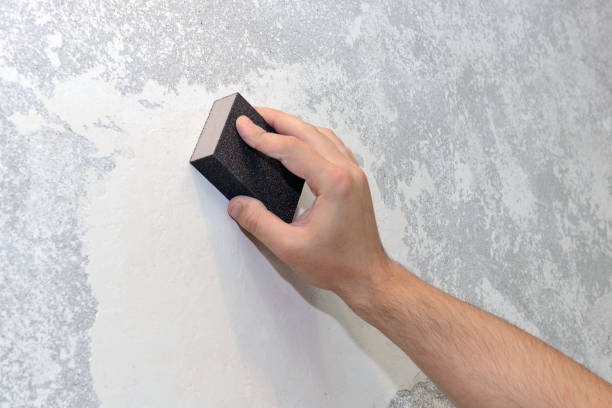 Best HVAC Mold Inspection and Cleaning  in Fox Lake Hls, IL