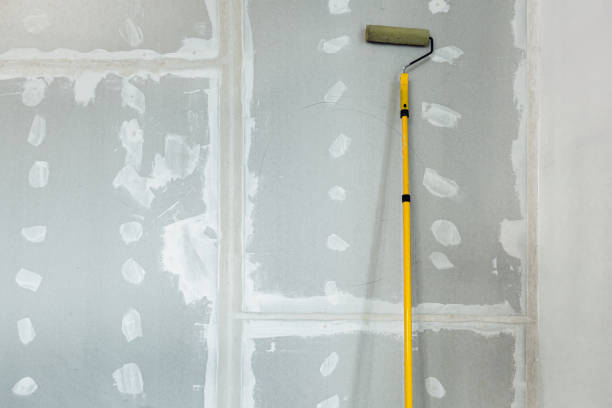 Best Industrial Mold Remediation  in Fox Lake Hls, IL