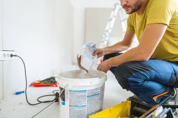 Best Post-Construction Mold Inspection  in Fox Lake Hls, IL