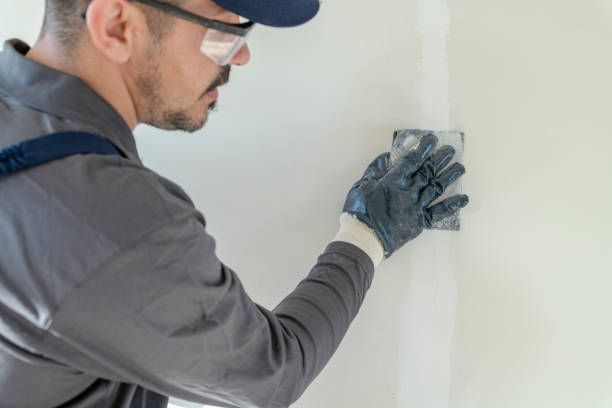 Best Water Damage & Mold Remediation  in Fox Lake Hls, IL