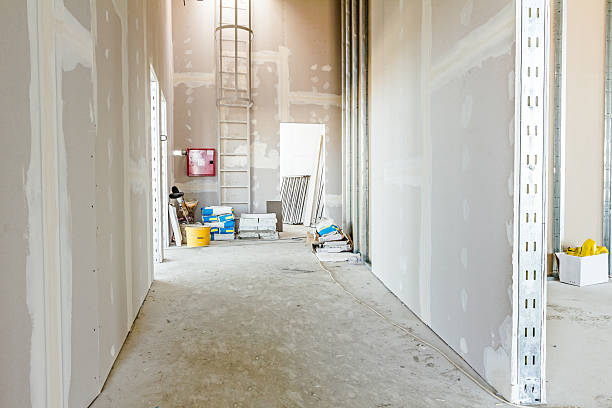 Best Flood Damage  in Fox Lake Hls, IL