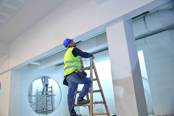 Best Post-Remediation Verification Testing  in Fox Lake Hls, IL