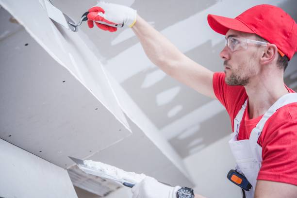 Best Airborne Mold Testing  in Fox Lake Hls, IL