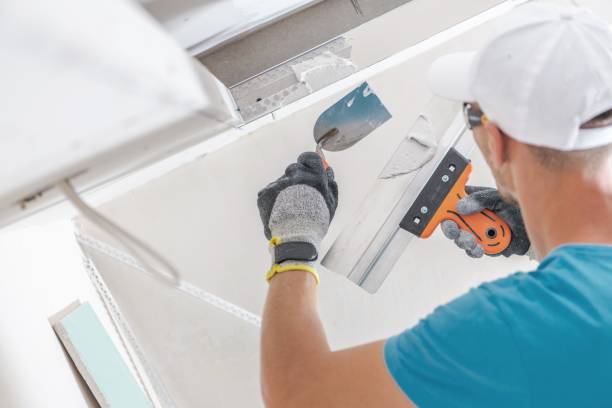 Best Air Quality Testing for Mold Spores  in Fox Lake Hls, IL